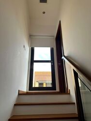 Holland Link (D10), Terrace #577696161